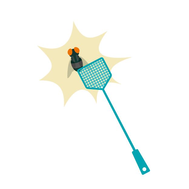 ハエの駆除には何がおすすめ？簡単に作れる罠でハエを一網打尽に！