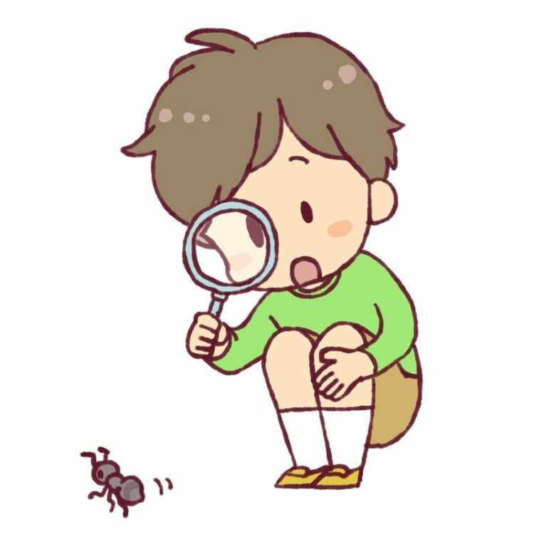 ヒアリに似たアリ5種類を見分けるポイントとは？特徴もご紹介