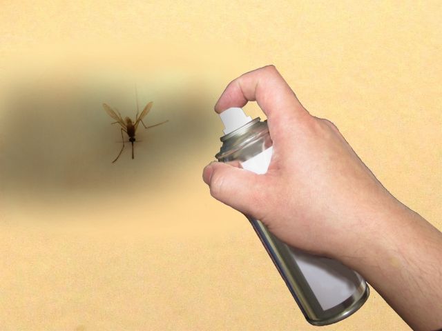 シバンムシの駆除をすぐに行ったほうがいい理由