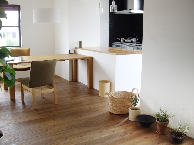 いったいどこから入ってきたの？ゲジゲジの侵入経路を探せ！