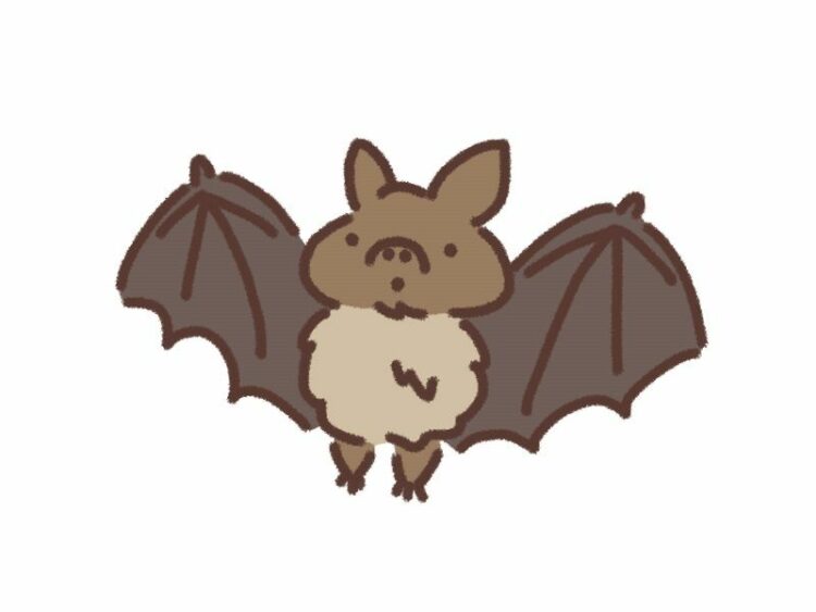 コウモリは益獣!?どうしてコウモリを追い払う必要があるの?