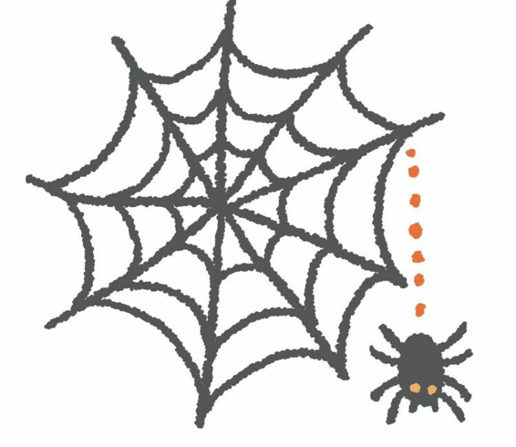 アシダカグモはゴキブリ駆除に効果的？その生態についてご紹介