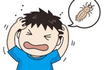 意外な場所でも感染する？シラミの原因と普段の生活で気を付けること