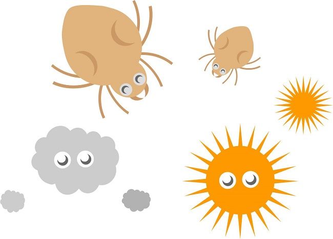 ダニ退治にアルコールは効果があるのか