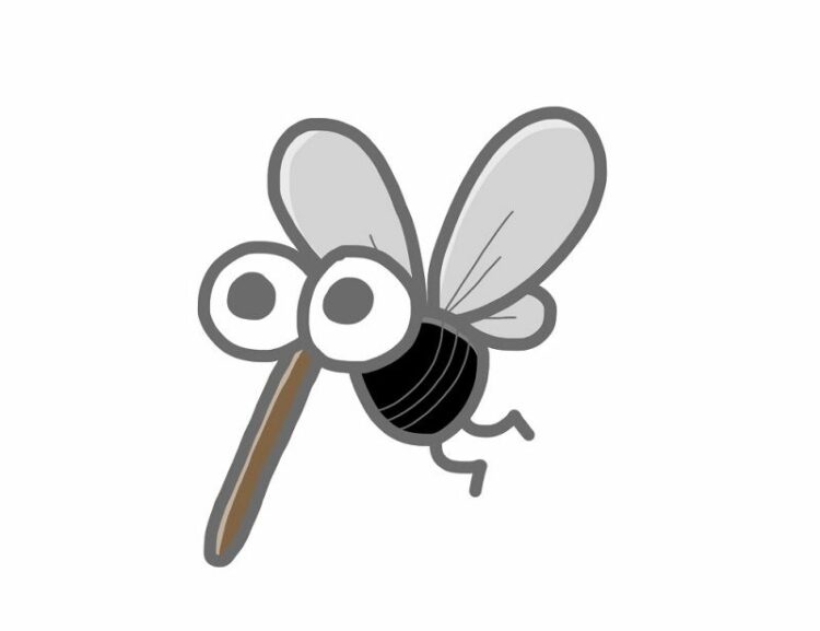 一体どうして！？蚊が冬に現れる理由！対策方法もご紹介します！