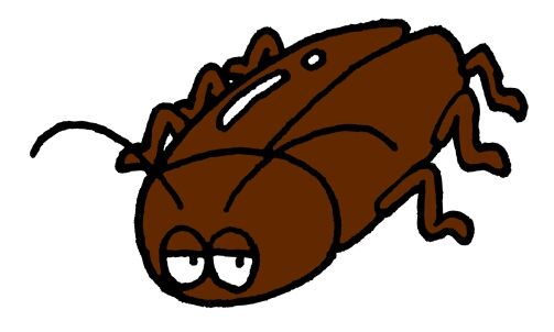 ゴキブリの寿命は意外と短い