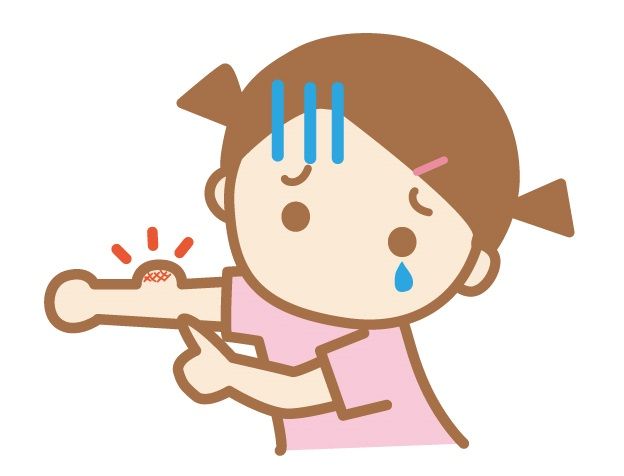 放置すると危険？ダニが及ぼす影響とは