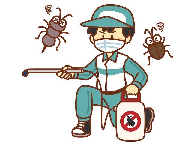 とにかく駆除しかない。ゴキブリ駆除の方法