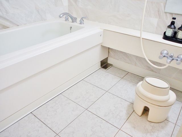 チョウバエの駆除方法と予防策