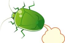 憎き屁こき虫を徹底駆除！カメムシをペットボトルで捕獲しよう！