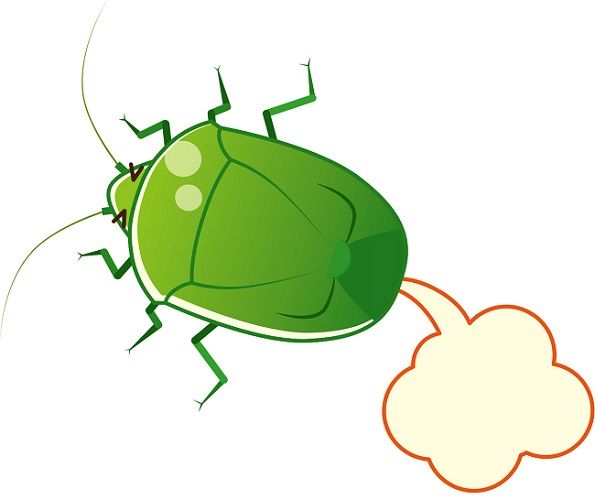 憎き屁こき虫を徹底駆除！カメムシをペットボトルで捕獲しよう！