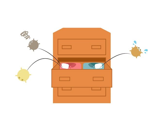 ダニ予防のためにできること