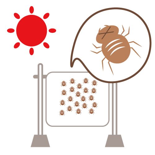 徹底駆除！ダニの撃退方法とは<