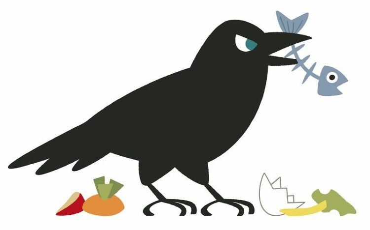 生ごみを荒らすカラスを寄せ付けない!効果的なカラスよけ方法とは