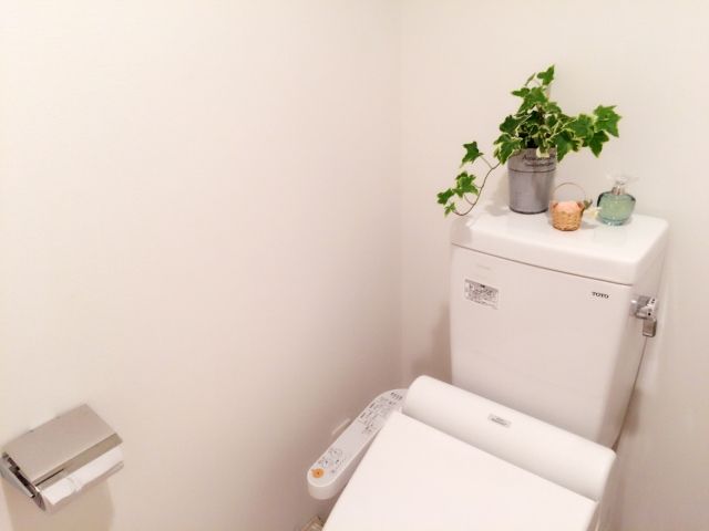 トイレのゴキブリ対策