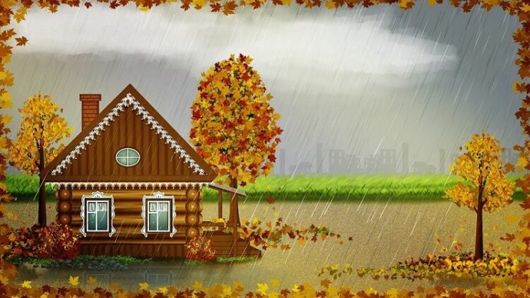 どうしてムカデは大量発生するの!?その原因は雨かもしれません