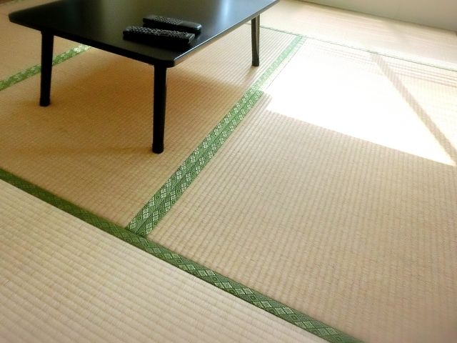 その畳のカビ、取り方を間違えると悪化するかも?正しい掃除方法とは
