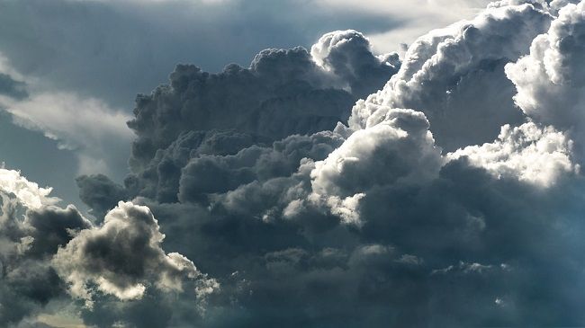 雨が降るとムカデが大量発生するのはなぜ？