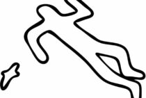 「殺人ダニ」って何者？おそろしいダニの被害にあわないためには