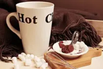 長期間保存のココアには注意を！ココアに虫が湧くって本当なの？