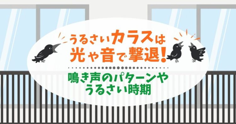 カラスがうるさいのは理由があった!静かな生活を取り戻す方法とは