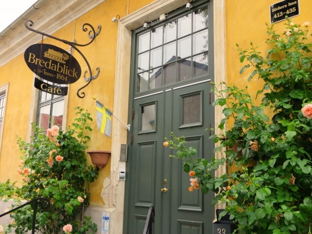 ムカデが現れないように対策をしよう