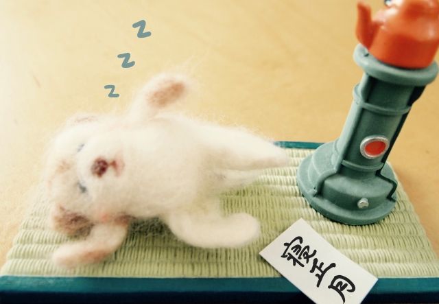畳の消臭方法3選!においがつく原因や普段からできるお手入れ方法も