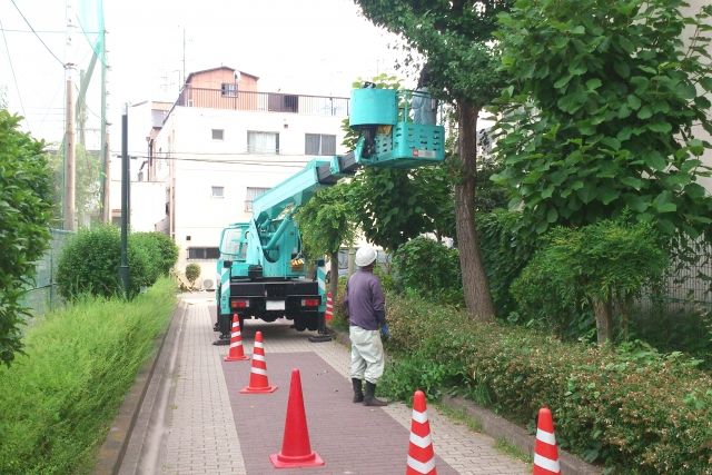 林業の資格は知識系と技能系の2種類！