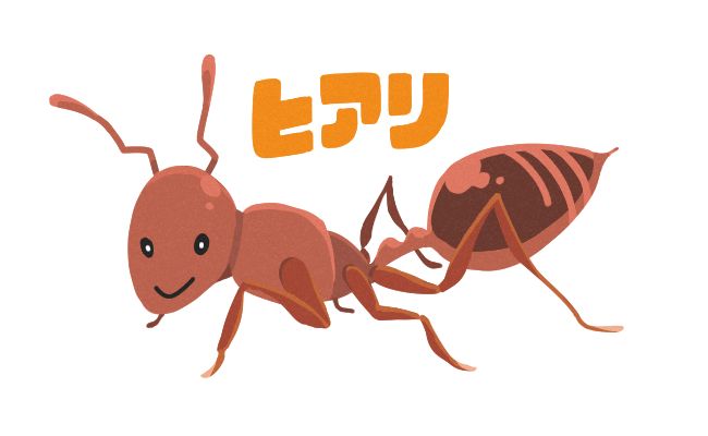 ヒアリ