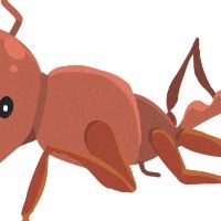 背中のとげがない