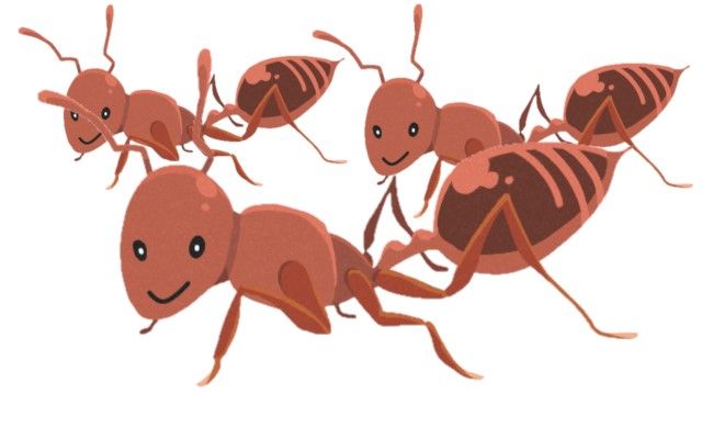 大きさのばらつきが大きい