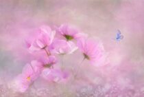 ドクガの幼虫は危険？！駆除方法や注意点を知って適切な処置を