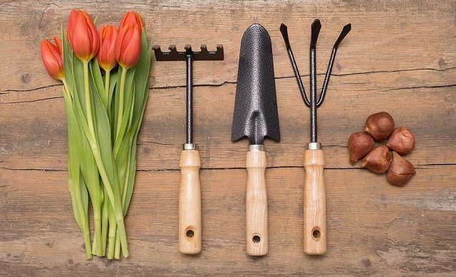 草むしりを楽にするには①適した道具を使おう