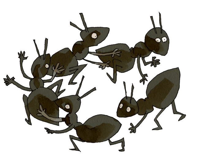 種類によっても蟻の寿命は異なる!