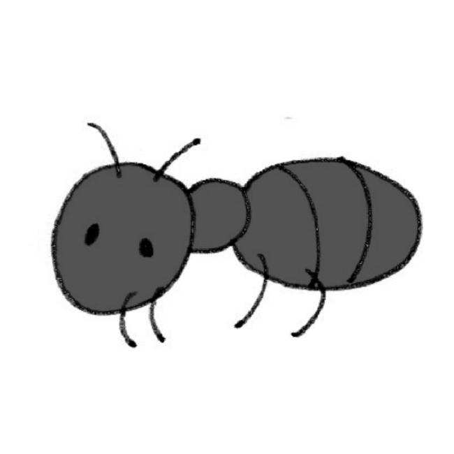 蟻は冬眠する？