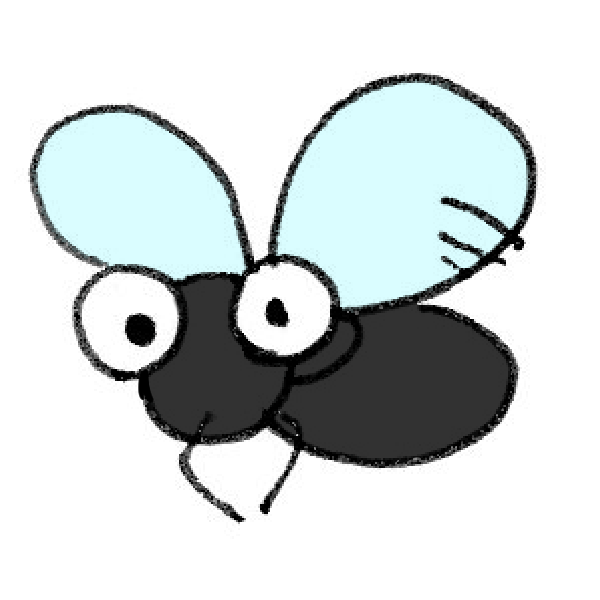 コバエというハエはいない？！コバエの種類と駆除方法について