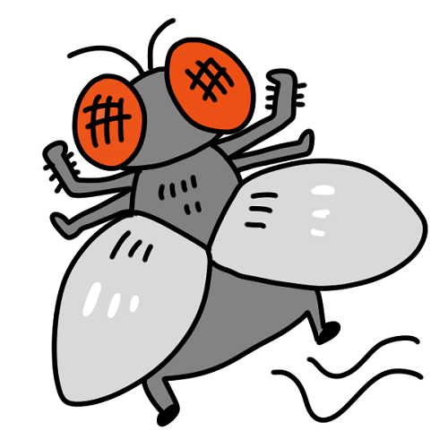 衛生害虫とされるハエの種類