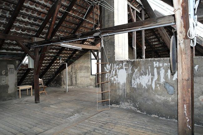 コウモリの巣ってどこにある？住宅に住み着いていることも