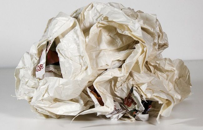 捕まえたあとの処理方法について