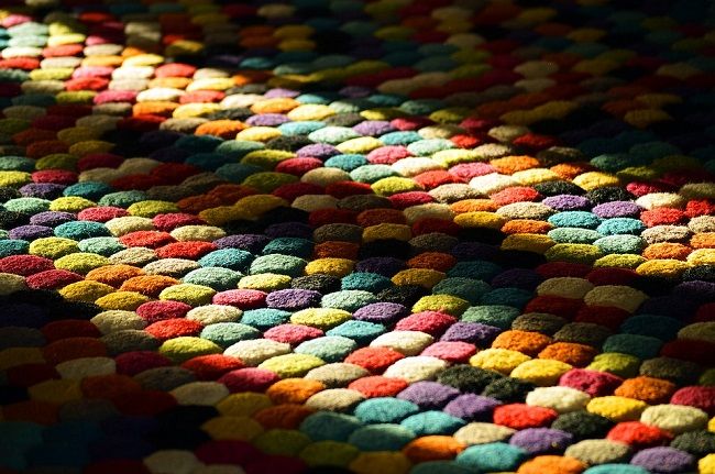 カーペットに潜むダニの種類