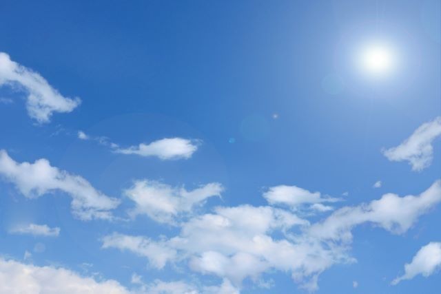 朝は鳩がよく鳴くタイミング？