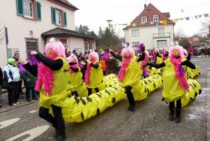 家の中にあふれるムカデの餌　ゴキブリがムカデを呼び寄せることも？