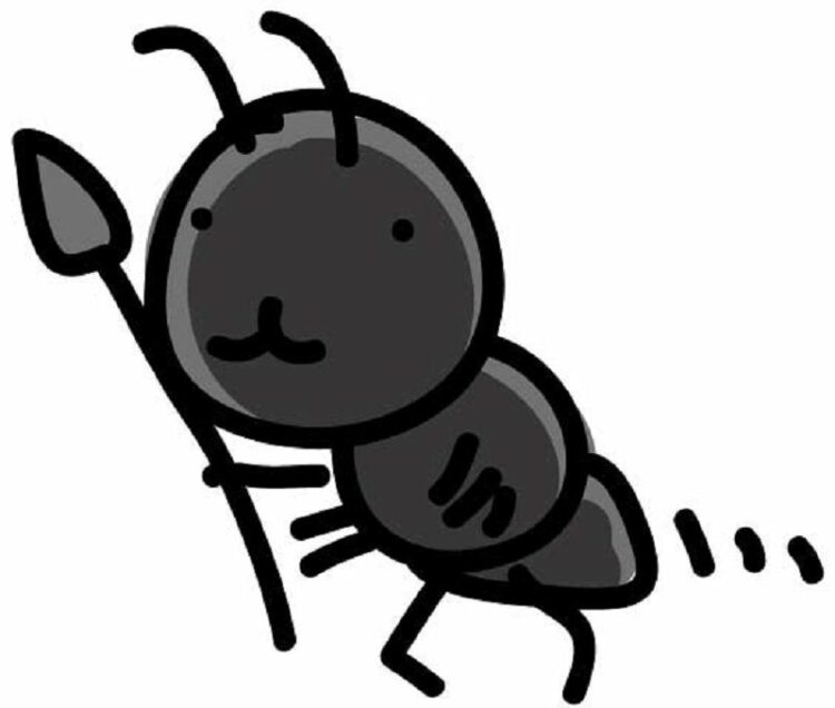 アパートに蟻が発生！駆除はだれがするの？駆除する方法は？