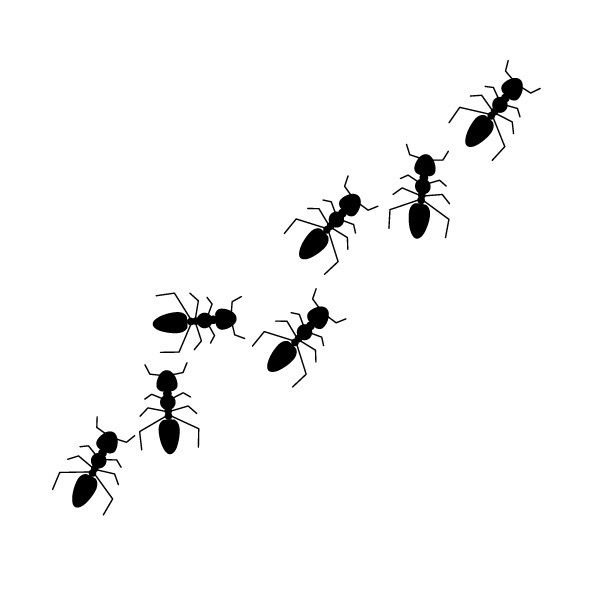 アパートのなかに蟻が！一体どこから来たの？