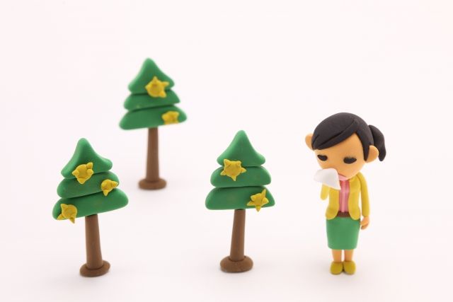 セイタカアワダチソウは花粉症を引き起こさない!ブタクサとの違い