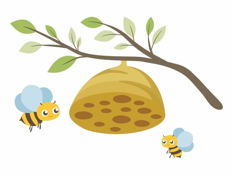 スズメバチが攻撃行動をする範囲は巣の周りだけ?巣を作られない対策