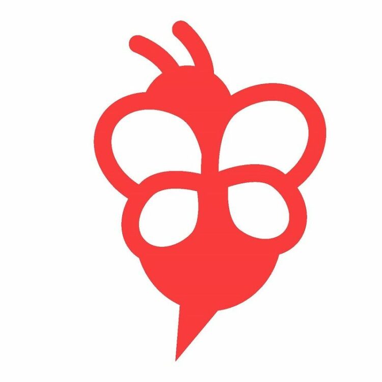 赤い蜂は危険？蜂に襲われないために気を付けるべきことをご紹介します