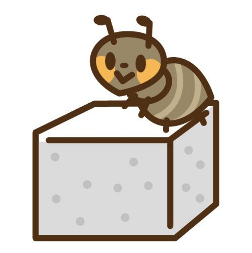 どうして蟻は自宅に侵入するの？