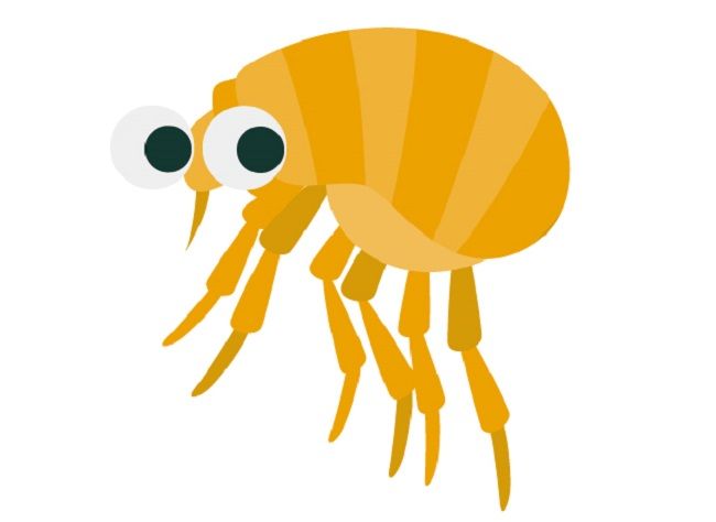 血を吸う虫対策②家の中にいる虫