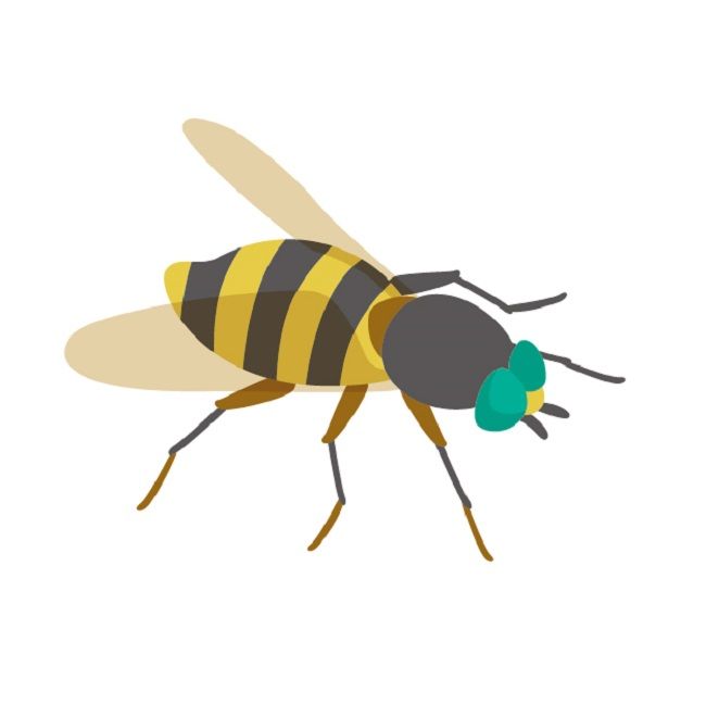 日本にいる「血を吸う虫」たち